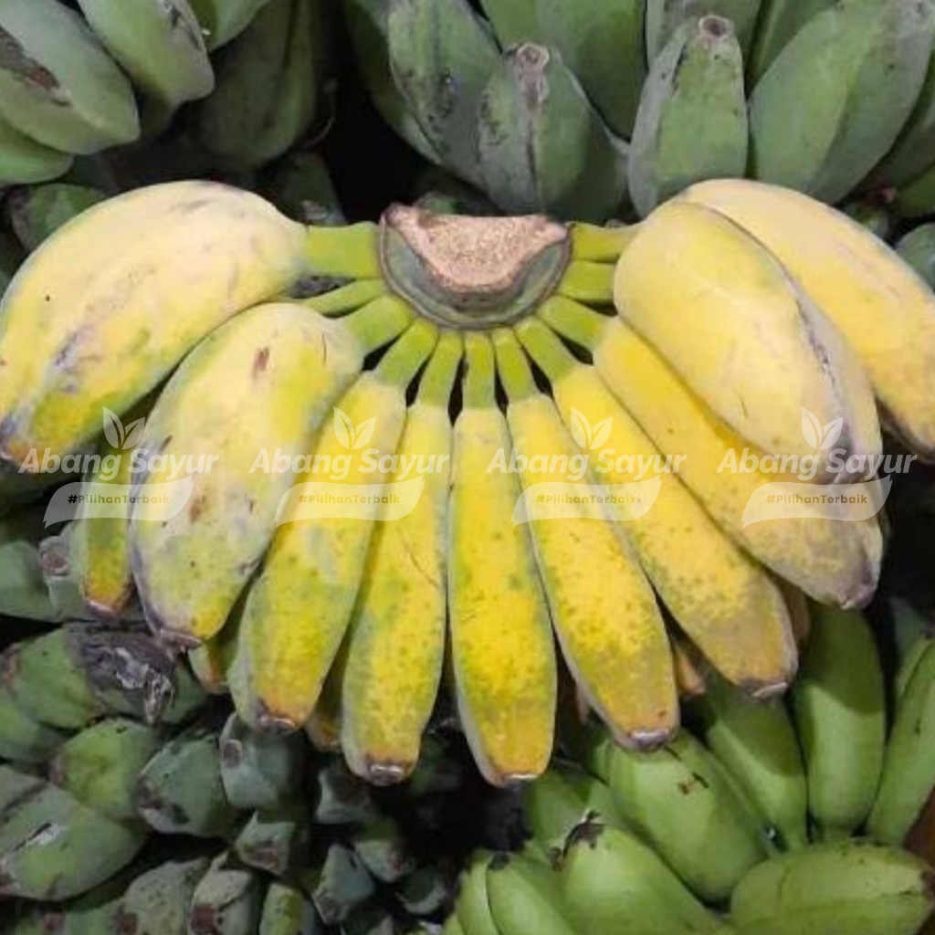 

Pisang Kepok Putih 1kg – Kirim Instant Bandung - Cocok Kukus, Goreng, MPASI, Diet Sehat