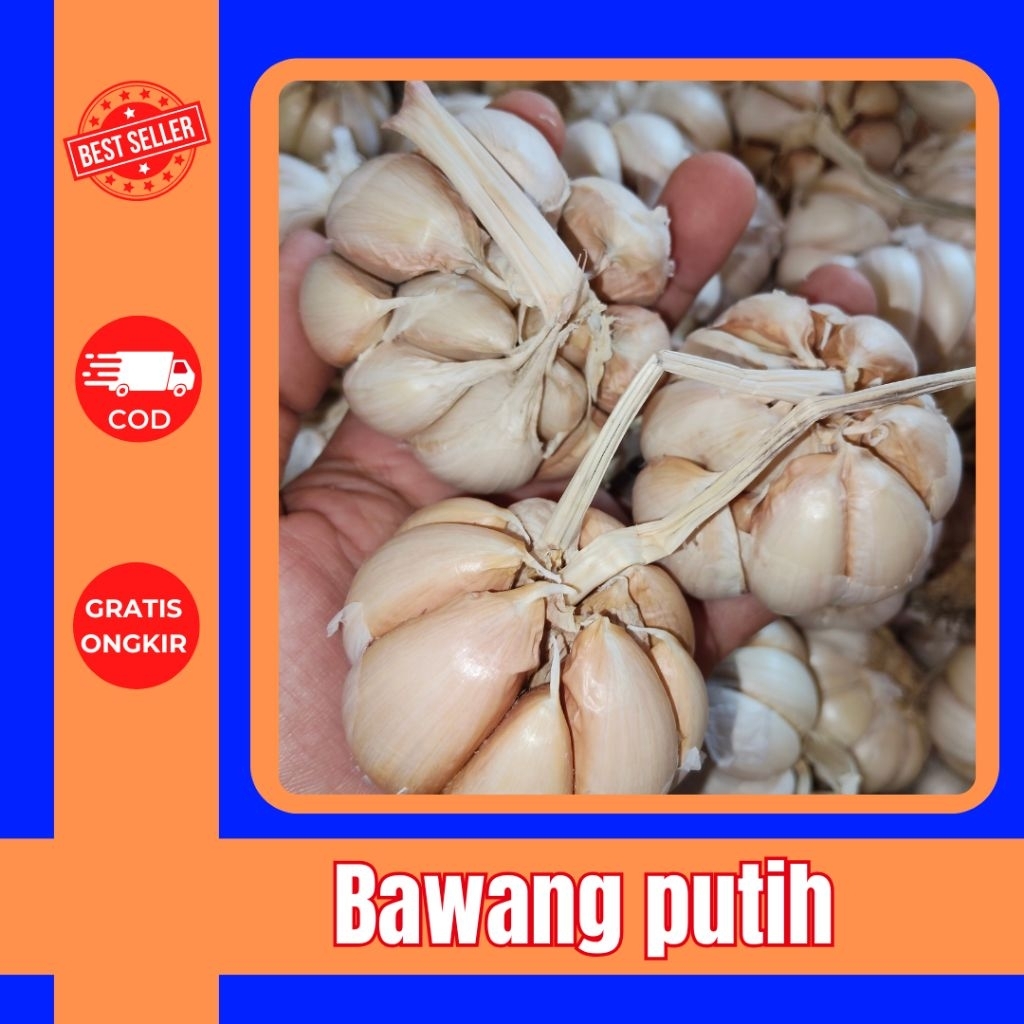 

Bawang Putih – 250gr / 500gr / 1kg