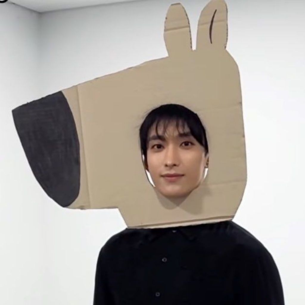 

co pack shushitaa go