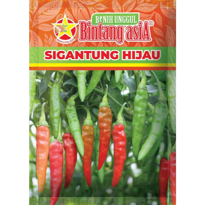 

Cabai Sigantung Hijau/cabe Sigantung Hijau/cabe caplak/cabe setan bintang asia/10 gr