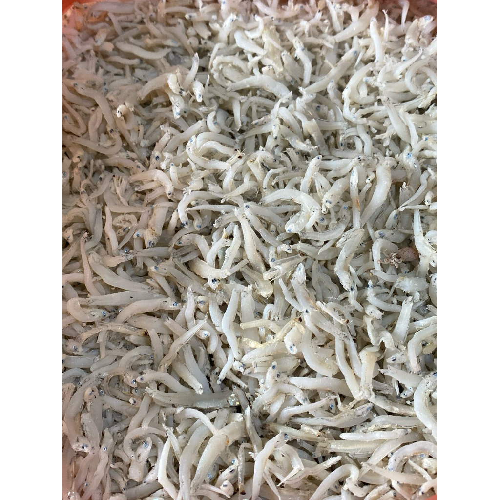 

TERI MEDAN/ TERI NASI 250gr