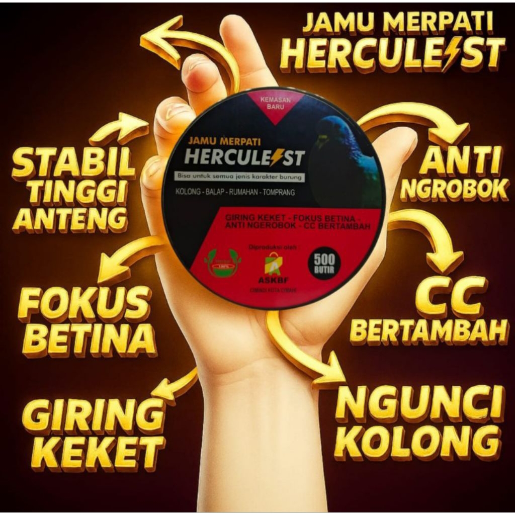 JAMU MERPATI KOLONG JAMU MERPATI HERCULES GIRING KERAS FOKUS BETINA