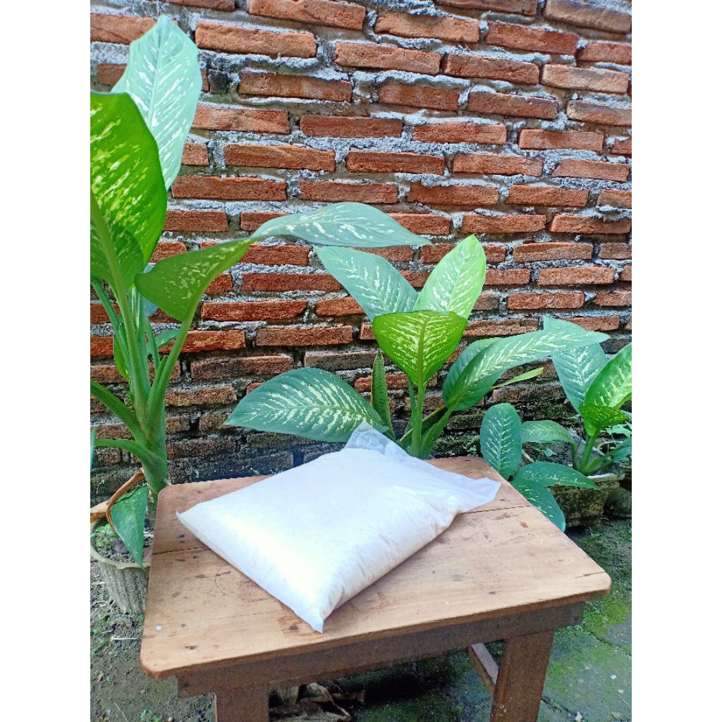 

Beras Organik Petani Blora jenis Supadi 5kg