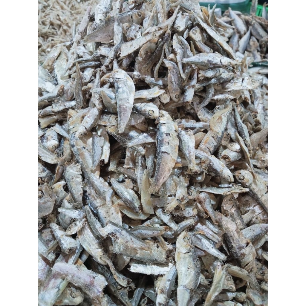 

IKAN ASIN LEMET/NINIS ♛ Ikan Asin Campah Rebus Kualitas premium