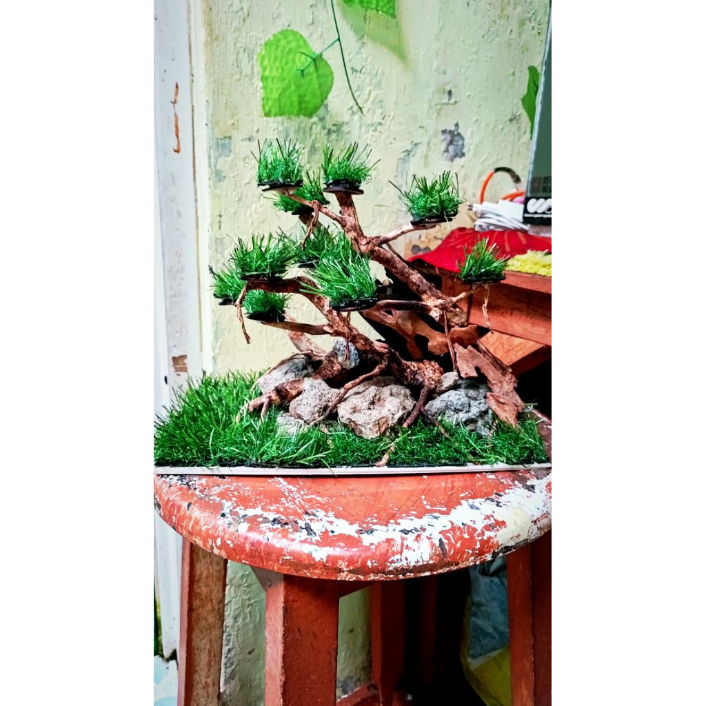 Aquascape + Aquarium Baru P32xL20xT30