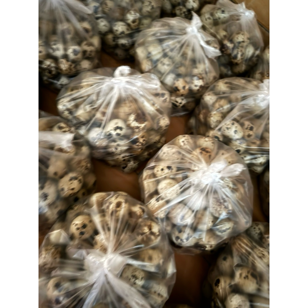 

telur puyuh isi 45 butir