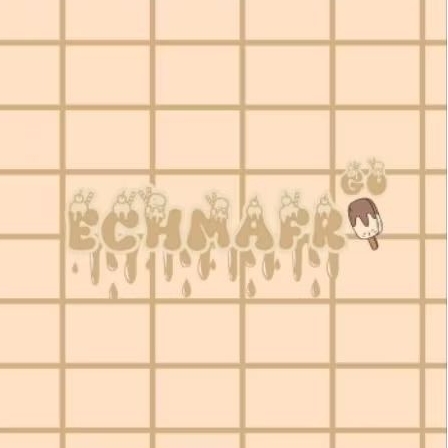 

CO PACKING ECHMAFR GO