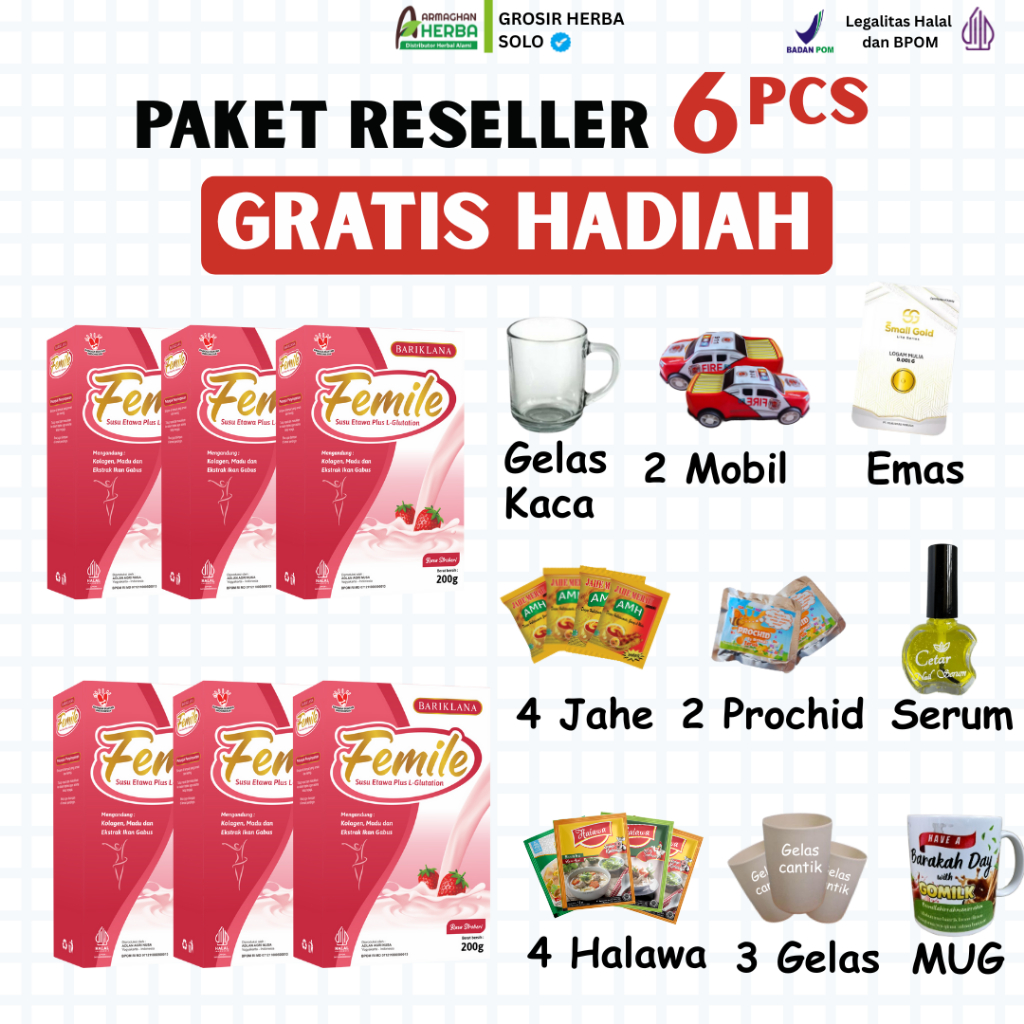 

[ PAKET RESELLER 6 BOX ] FEMILE Susu Kambing Etawa Plus L Glutation dan Collagen | Nutrisi Kecantikan Kulit tampak Lebih Bersinar