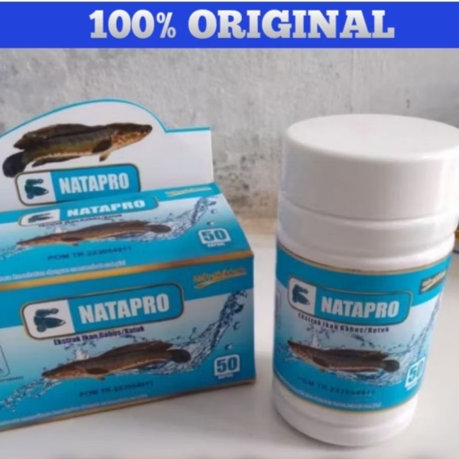Obat Untuk Penyembuhan Luka Luka Operasi Kapsul Ikan Gabus Natapro