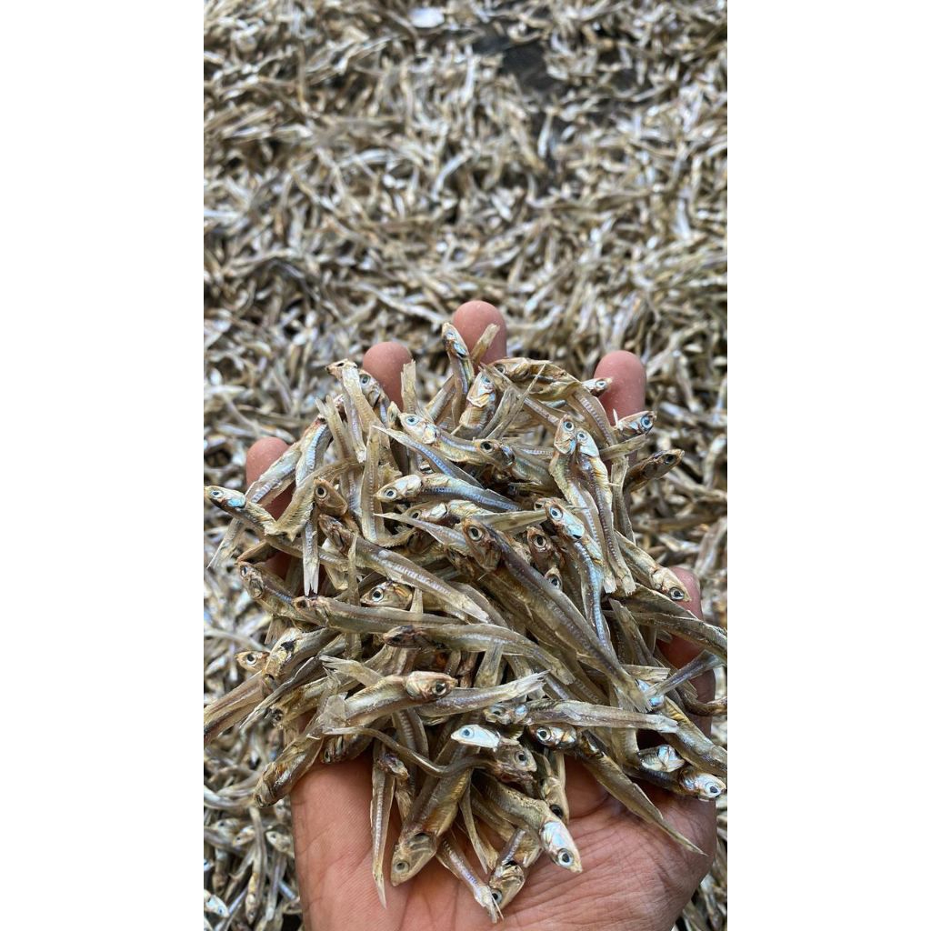 

ikan Teri kering tawar. kualitas terjamin