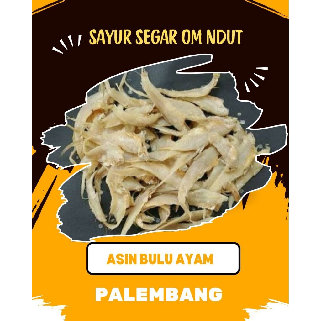 

IKAN ASIN BULU AYAM - INSTAN PALEMBANG