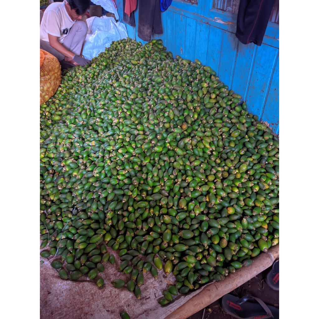 

BUAH PINANG MUDA SEGAR 1 KG