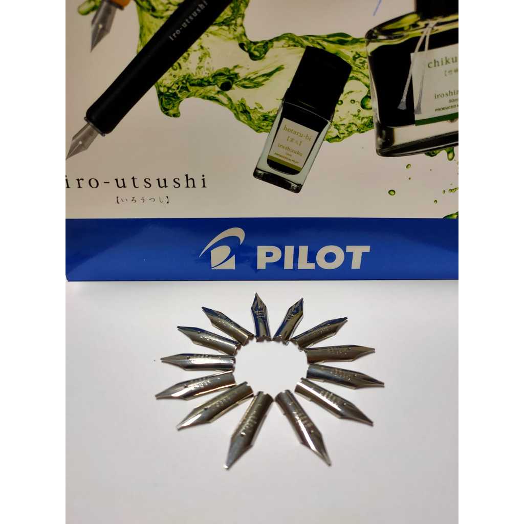 

NIB fountain Pen Pilot