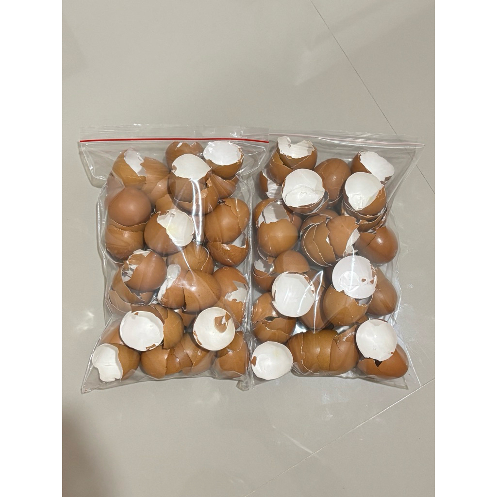 

Cangkang Kulit Telur Ayam Kering Bersih 200gram