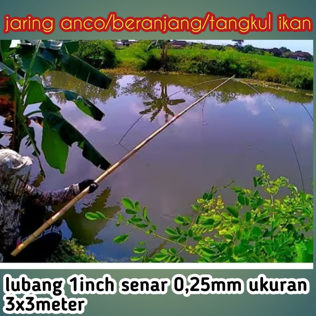 jaring anco ikan/tangkul ukuran 3x3 meter lubang 1inch  cocok untuk cari ikan babon mujaer jaring ik