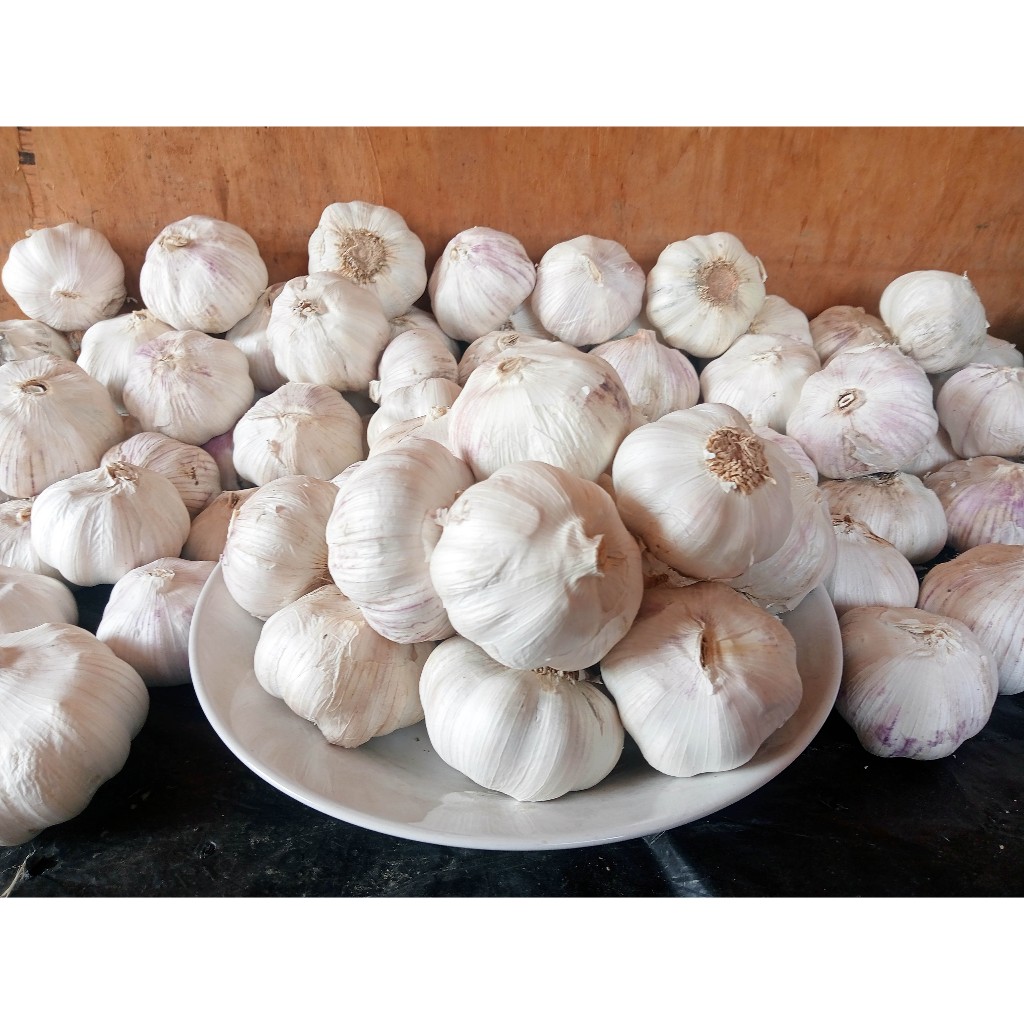 

Bawang Putih Super 1 Kg – Honan Dijamin Besar & Bersih | Rumsmart Super