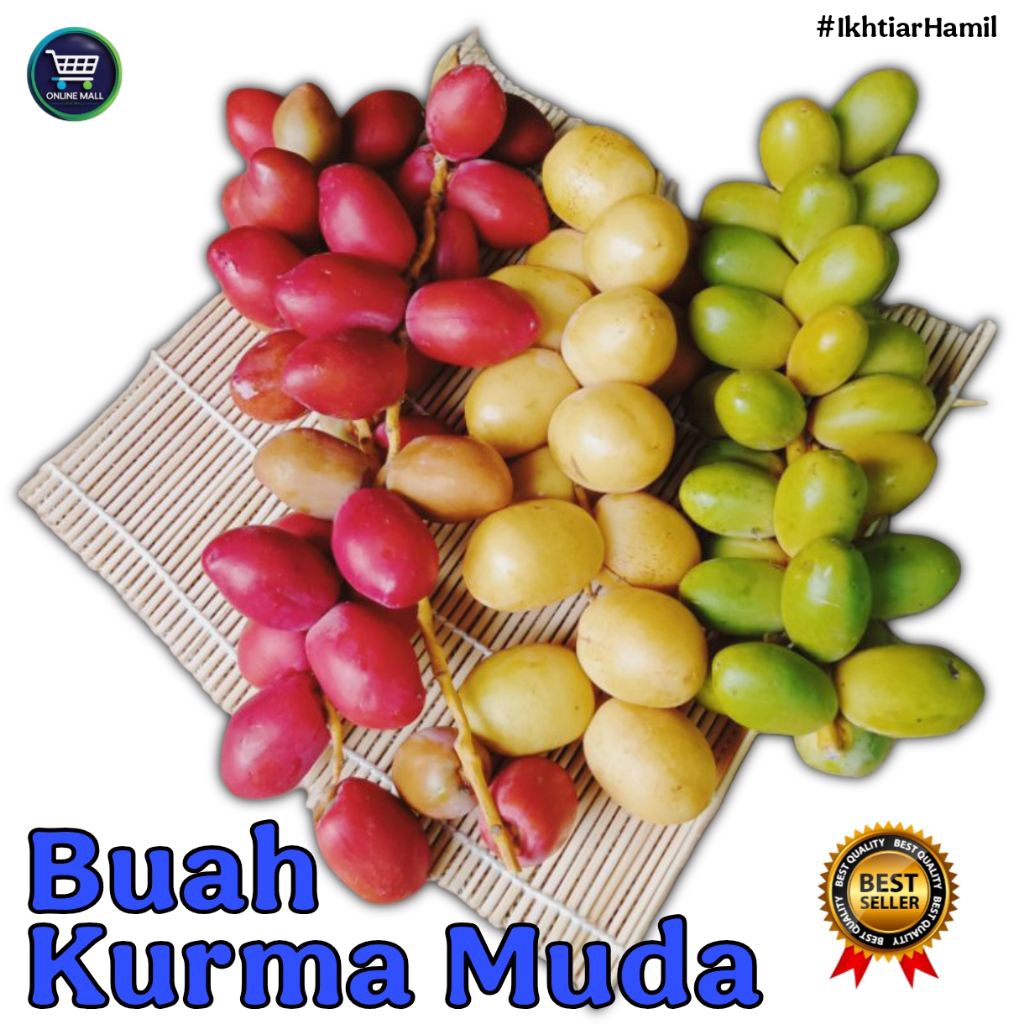 

KURMA MUDA MIX PROMIL SEGAR - KurmaMuda Promil Segar / KurmaMuda Ikhtiar Hamil / Ruthob