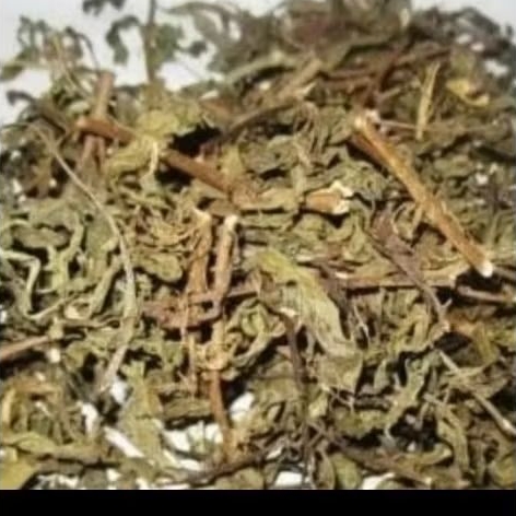 

Daun kumis kucing obat herbal alami