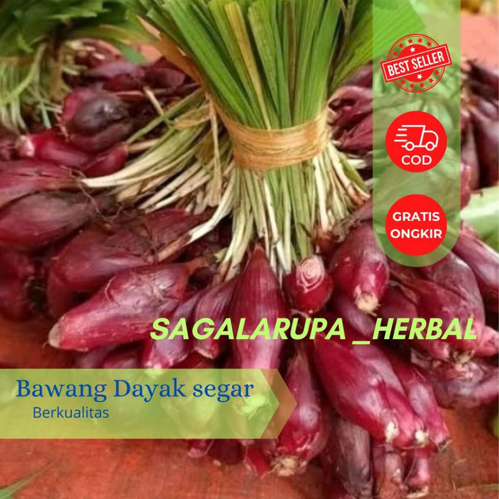 

BAWANG DAYAK SEGAR FRESH 250 GRAM