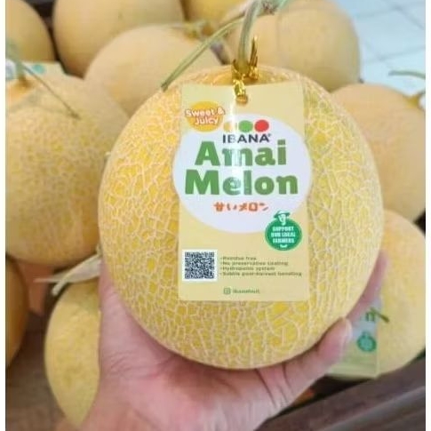 

melon Intanon bibit jepang asli 1pcs