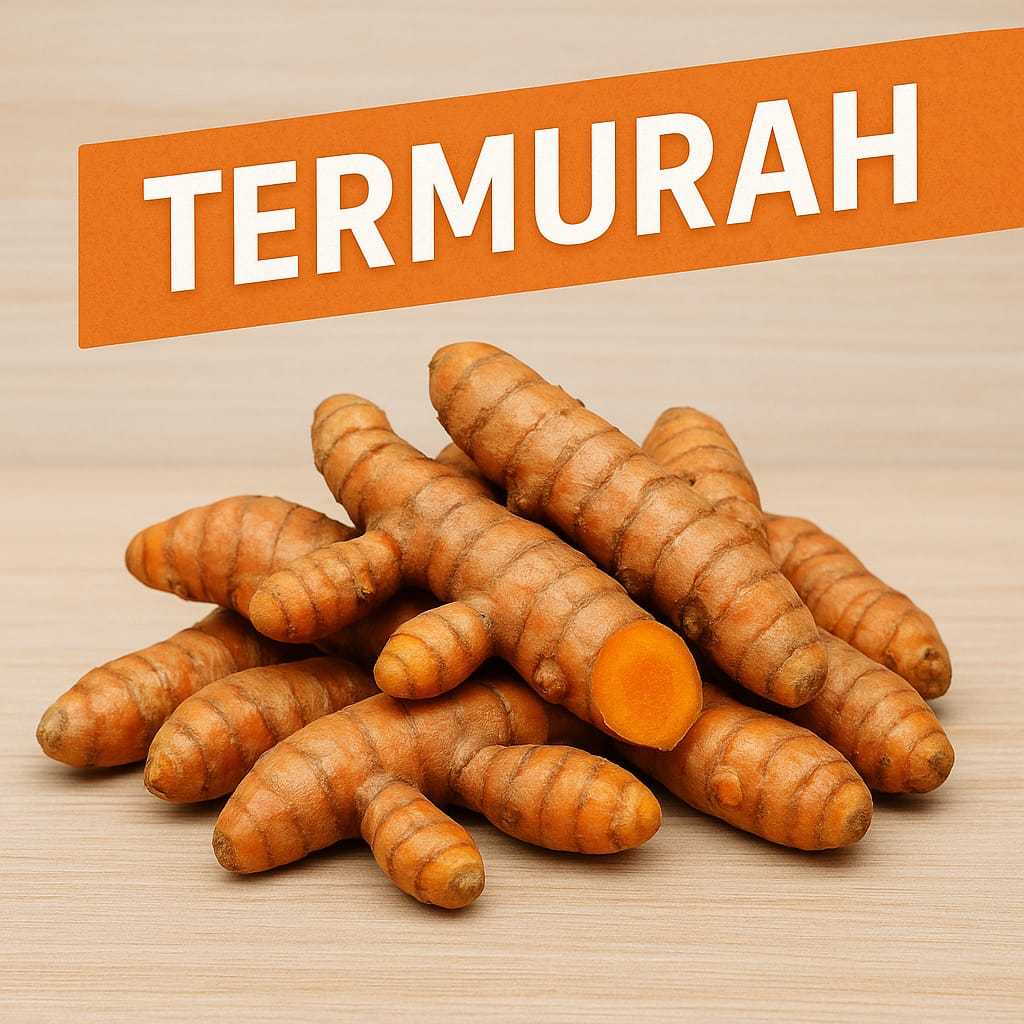 

( Produk Pilihan ) Kunir atau Kunyit Segar Asli Aramu 1kg Rempah Dapur Herbal