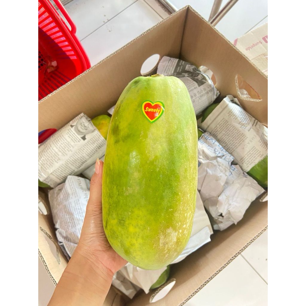 

buah kates / buah papaya merah calif per butir kates lokal pepaya california sunpride