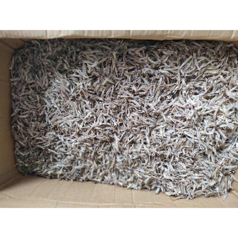 

ikan teri belah bersih Pontianak