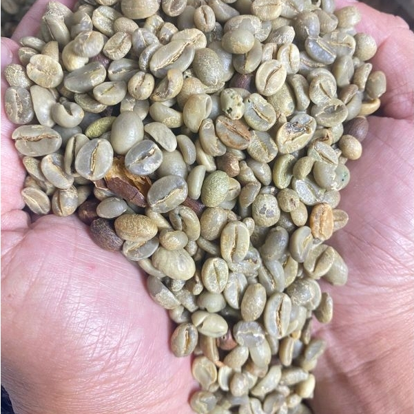 

Biji Kopi arabica Natural Arjuno 500 gram