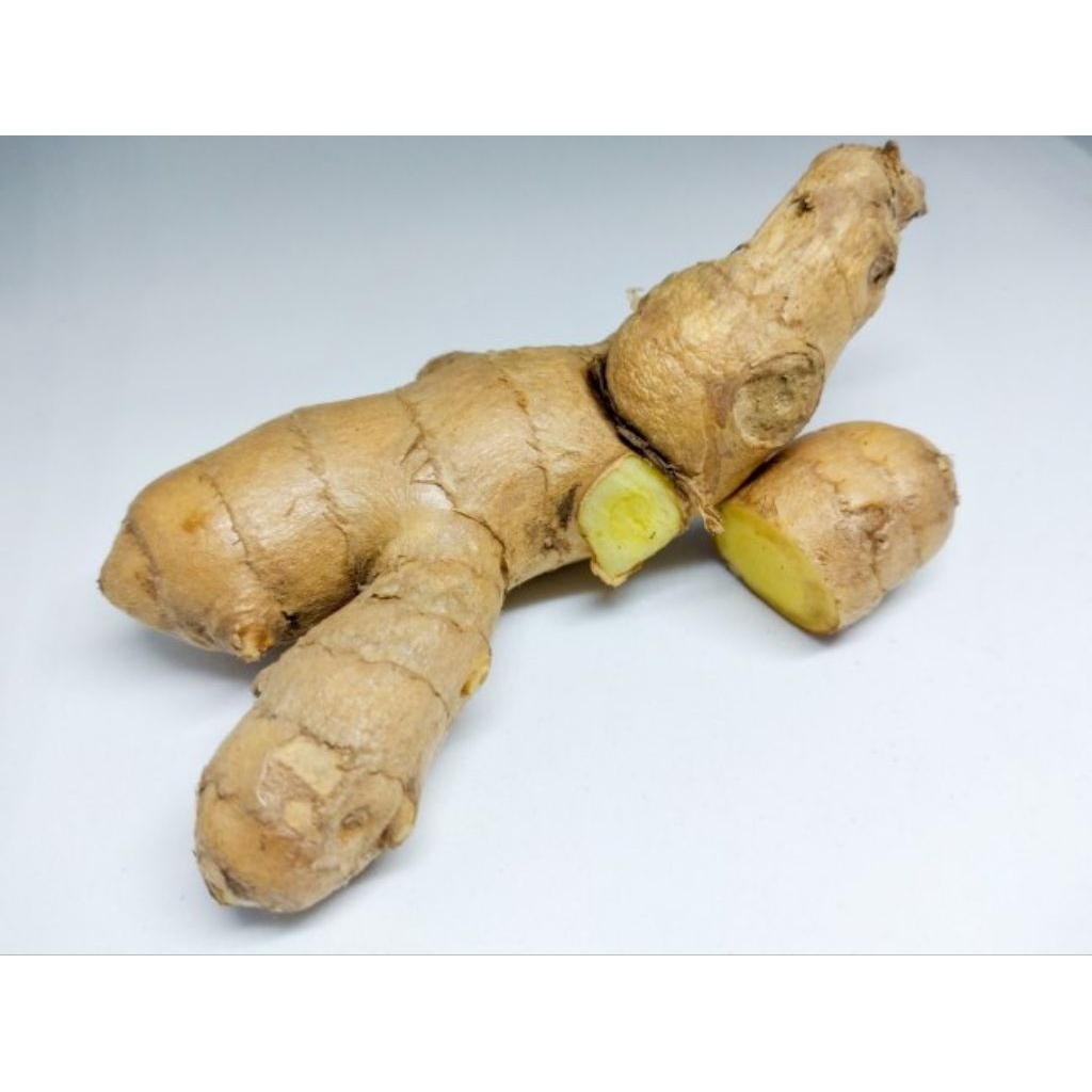 

TEMU MANGGA segar fresh kemasan 1kg