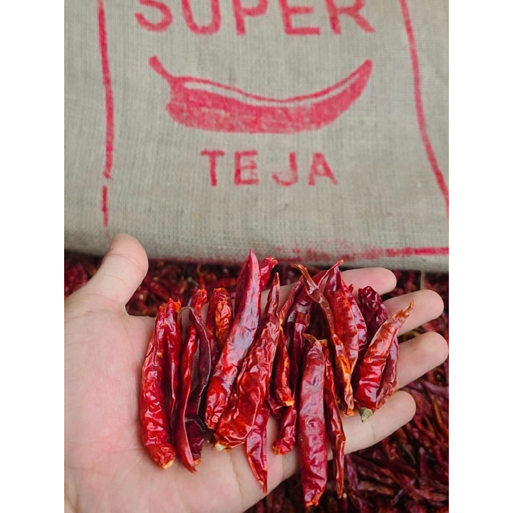 

Promo (1kg) CABE KERING TEJA petik Super Pedas kualitas PREMIUM Cabai Merah