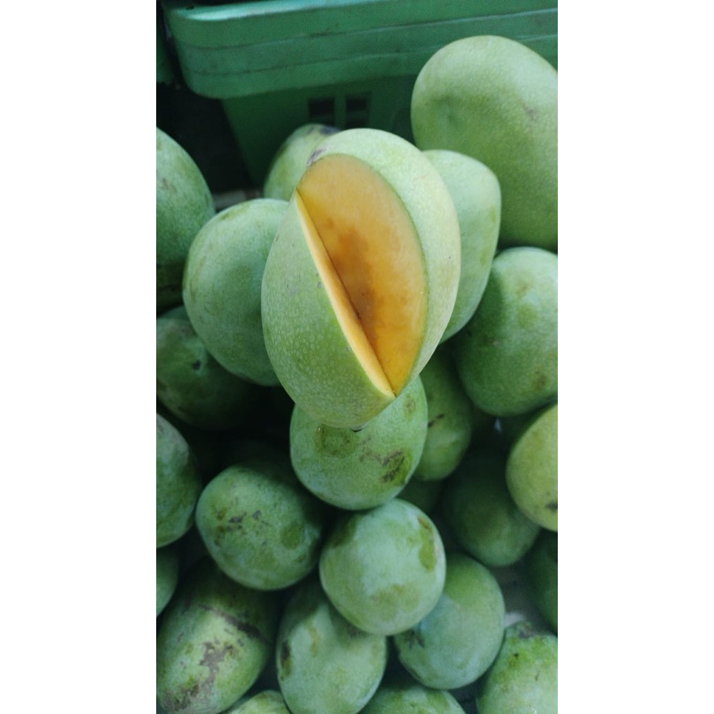 

Mangga Manalagi manis enak