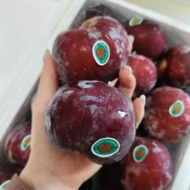 BUAH PLUM MERAH 500gr/BUAH PLUM HITAM 500gr/BUAH PLUM MERAH IMPORT/BUAH PLUM SEGAR/BUAH PLUM MERAH A