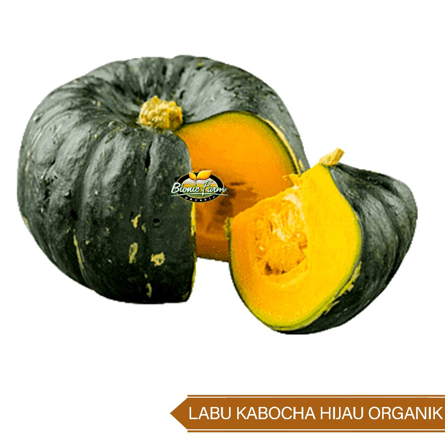 

Labu Kabocha Hijau Organik Bionic Farm