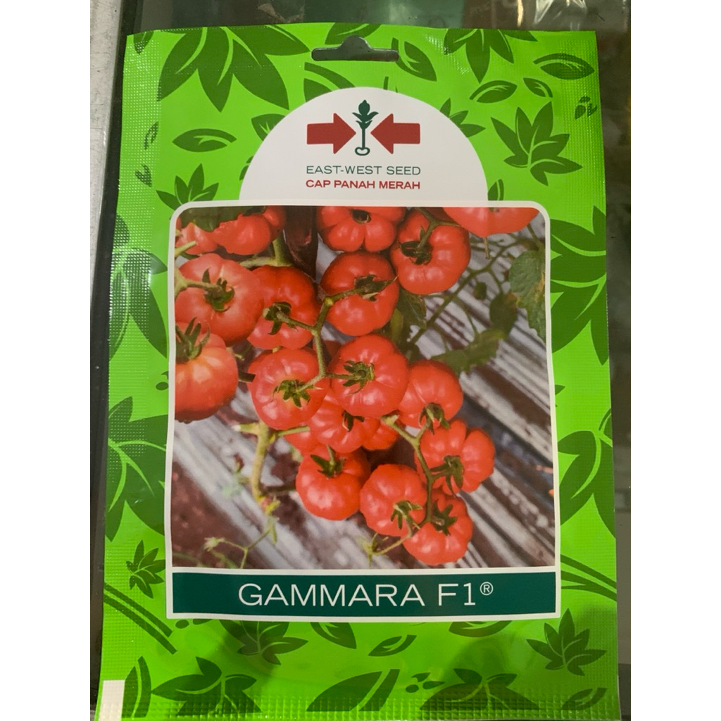 

Gammara-tomat keriting 150 btr exp maret 2026