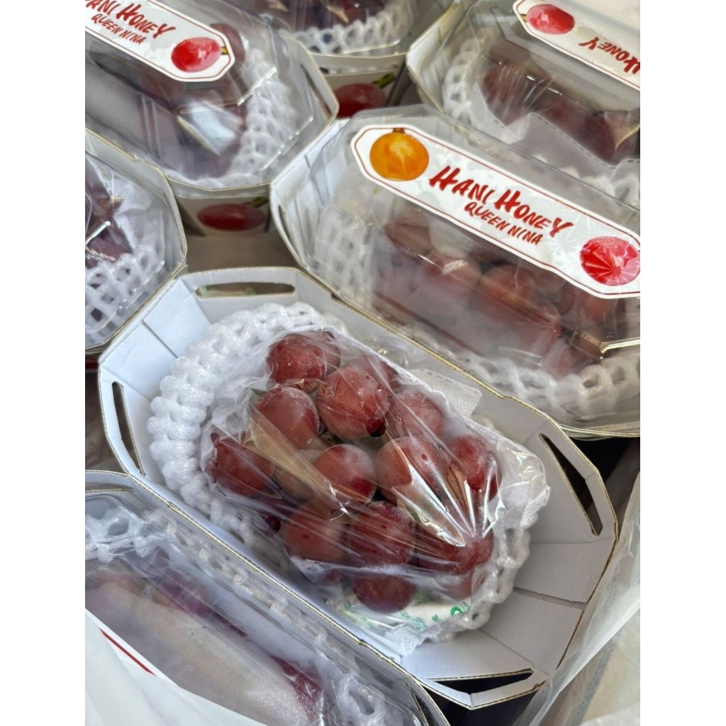 

Anggur Queen Nina 1 pack 500 gr