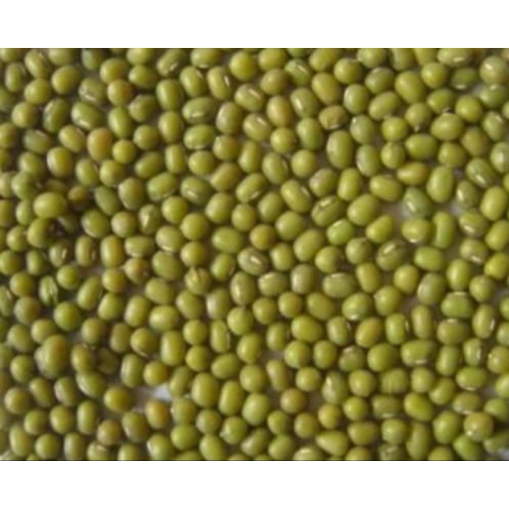 

Moong daal whole green 500g