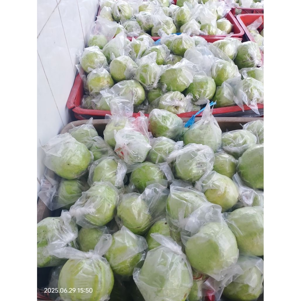 

Jambu kristal 2KG Random