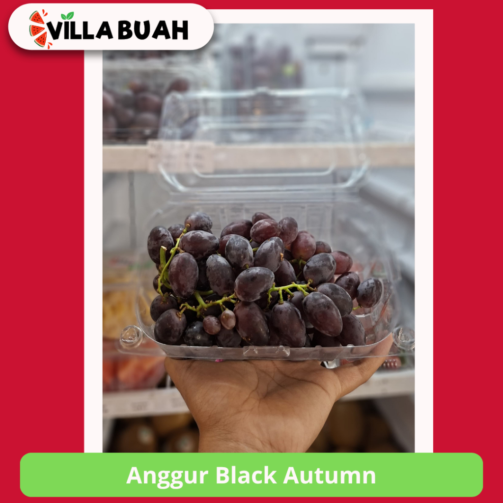 

Anggur Black Autumn (250gr)