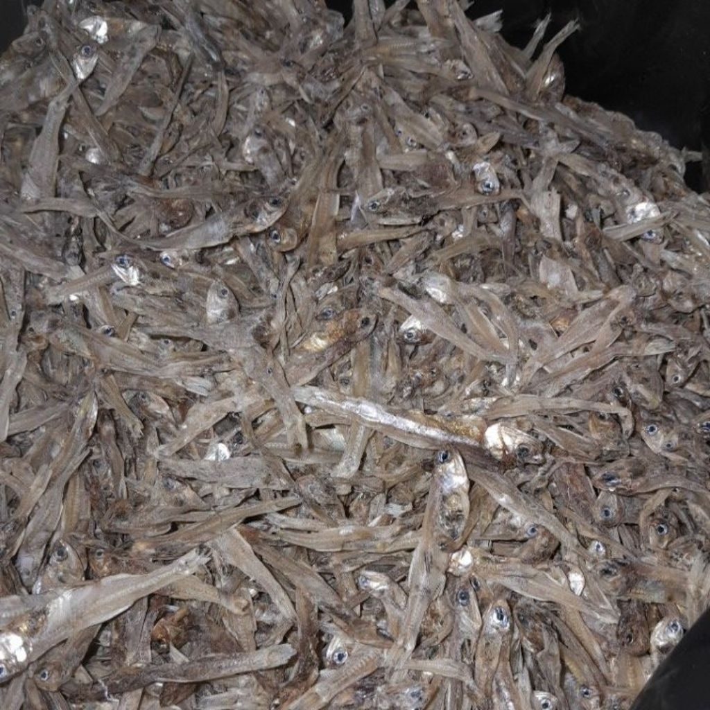 

ikan asin teri 10rbu