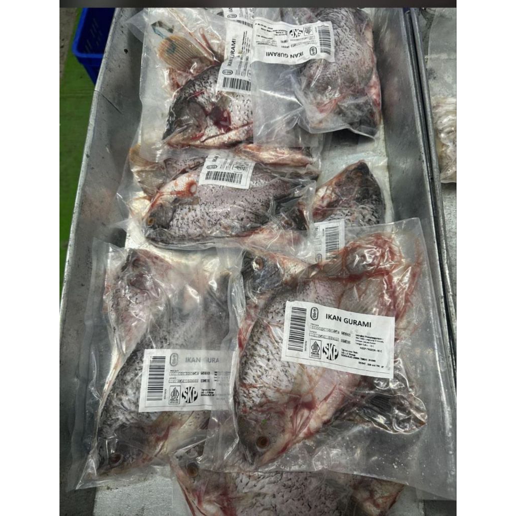 

Ikan Gurame Frozen