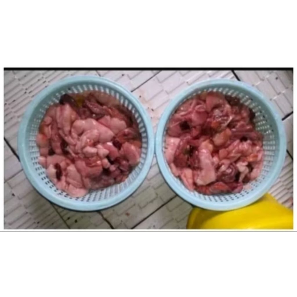 

Jeroan ikan mas segar dan fresh