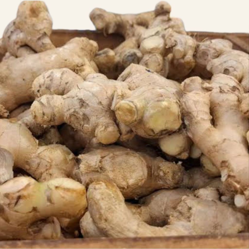 

Jahe Lokal Super 250gr Jahe Lokal Gajah