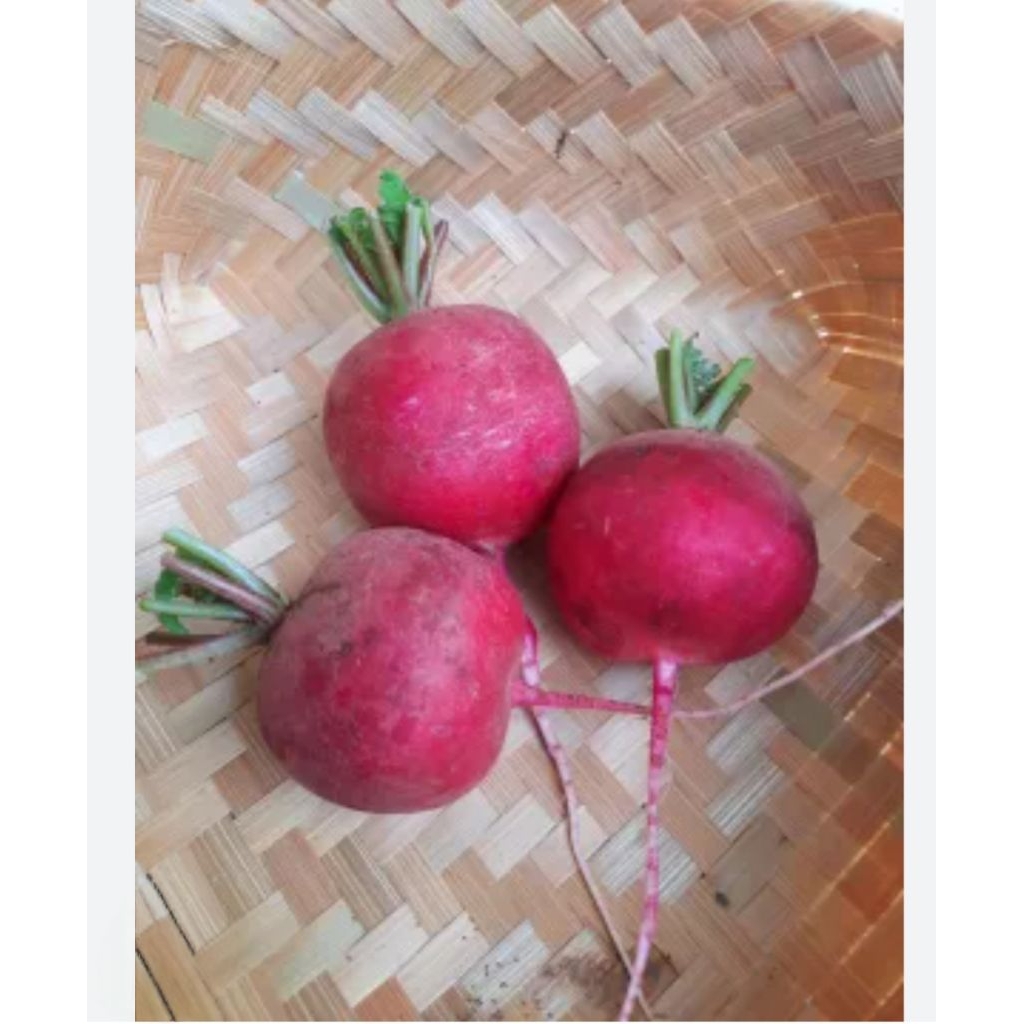 

Lobak Merah/Red Radish Fresh 500gram