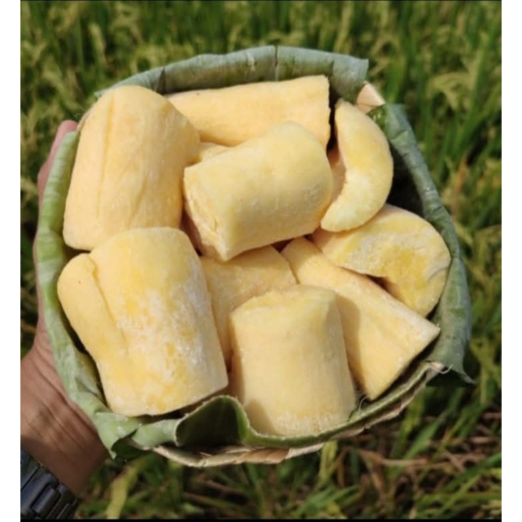 

VIRAL-TERBARU TAPE BONDOWOSO FRESH | KHAS OLEH OLEH BONDOWOSO