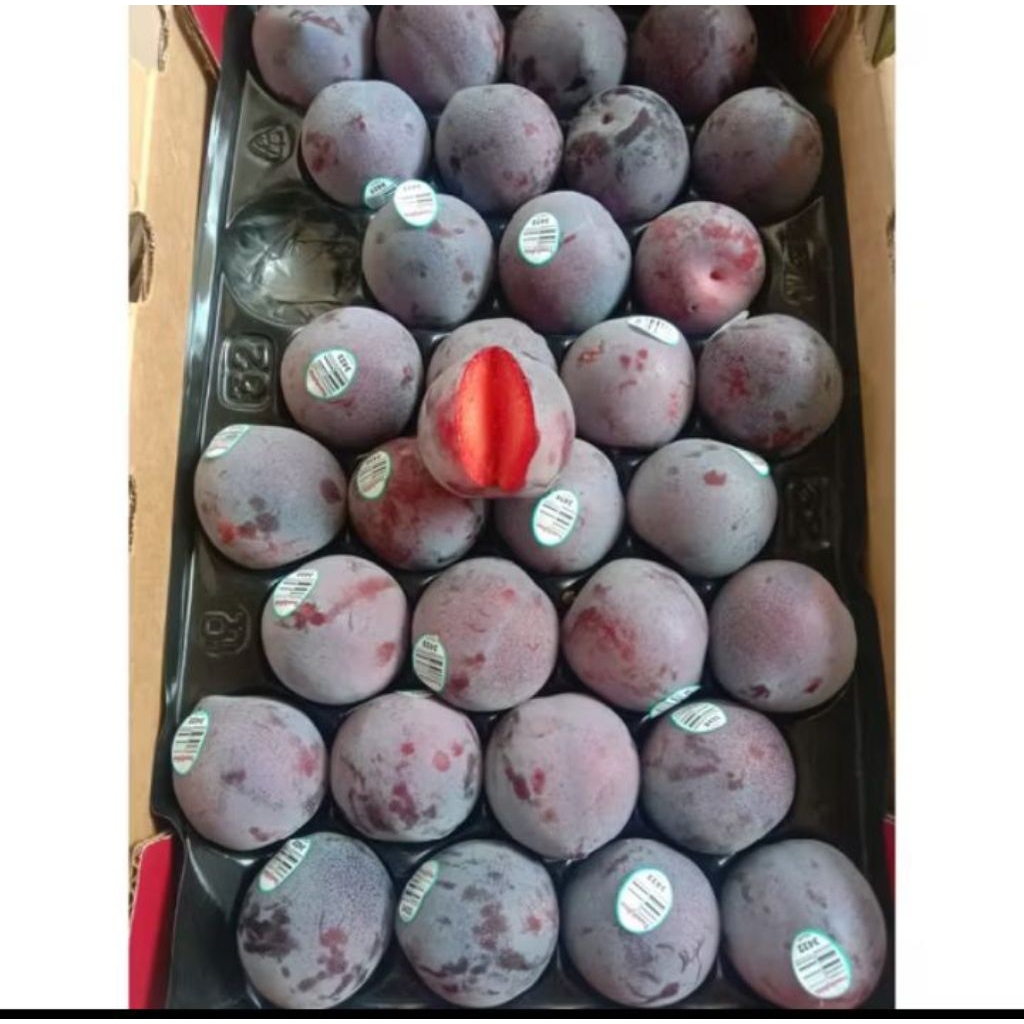 

Plum Black Amerika Midnight Rose Import / Plum Family Tree Sweet 1kg