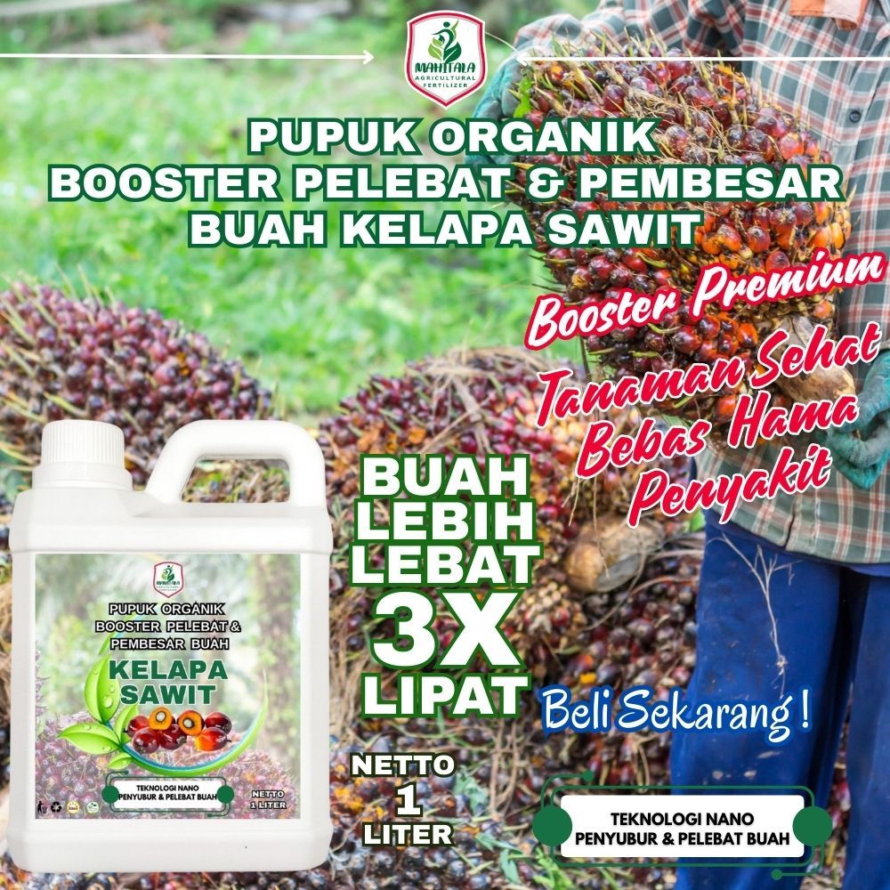 Pupuk Pembesar Buah Kelapa Sawit Agar Cepat Berbuah Lebat Anti Rontok