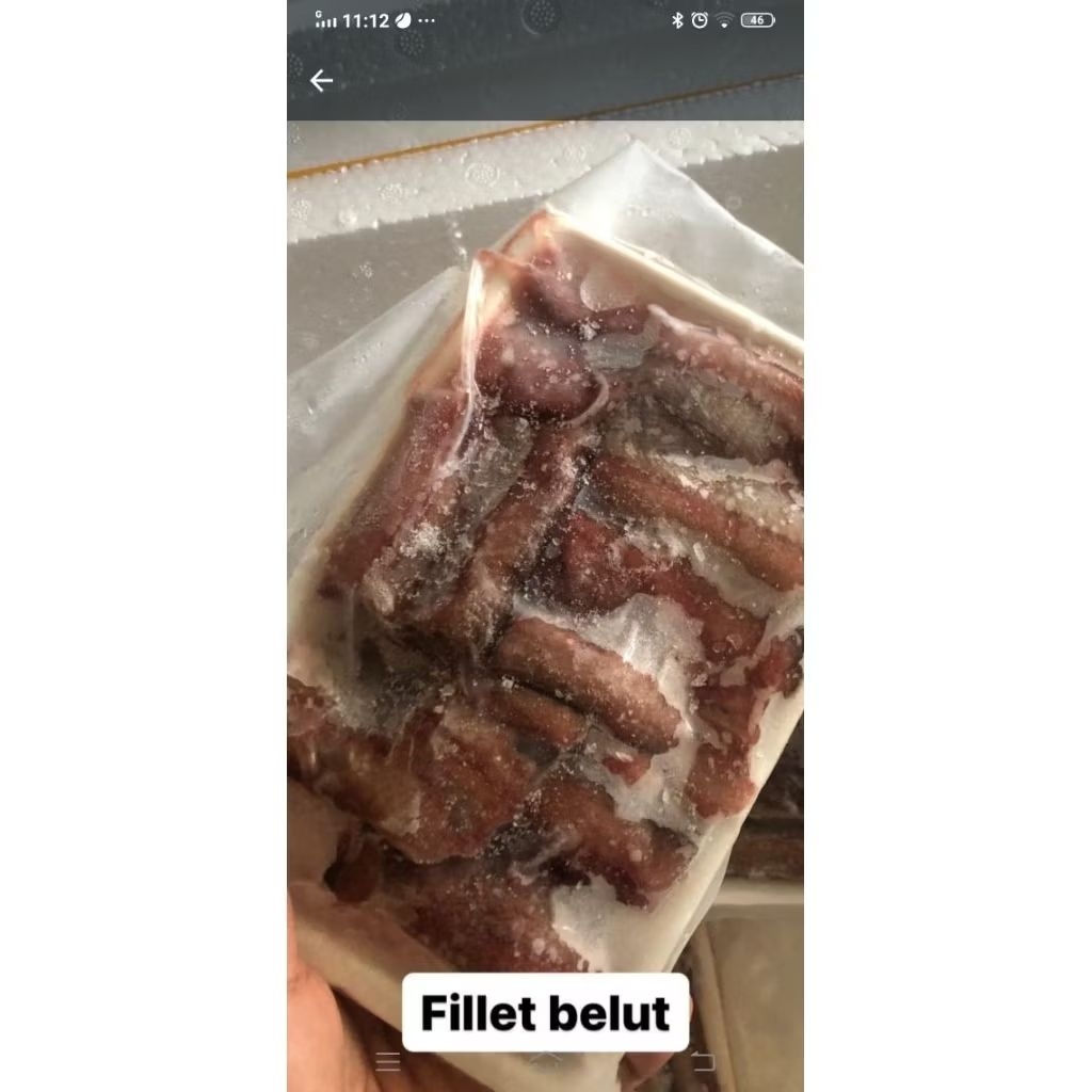 

Belut Filet Organik