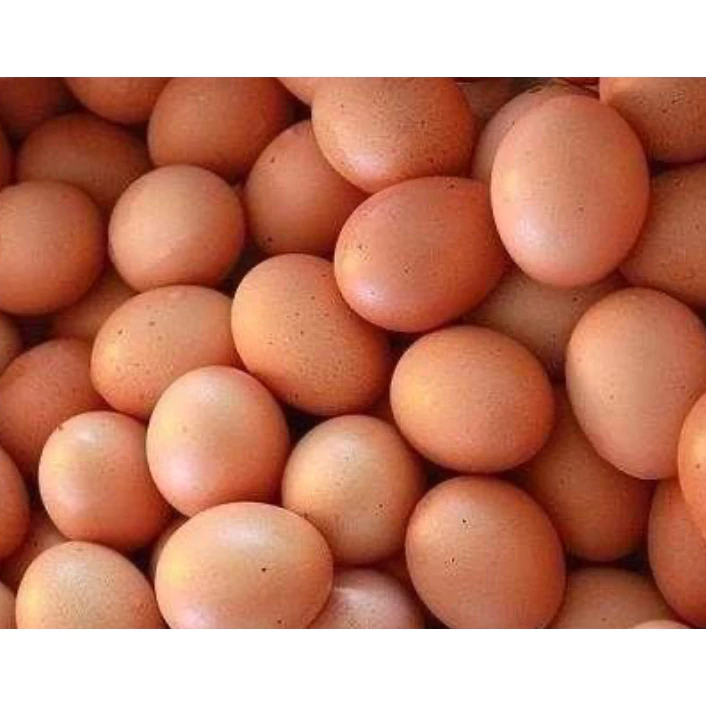 

TELUR AYAM 1KG ENAK (KHUSUS PENGIRIMAN INSTANT)