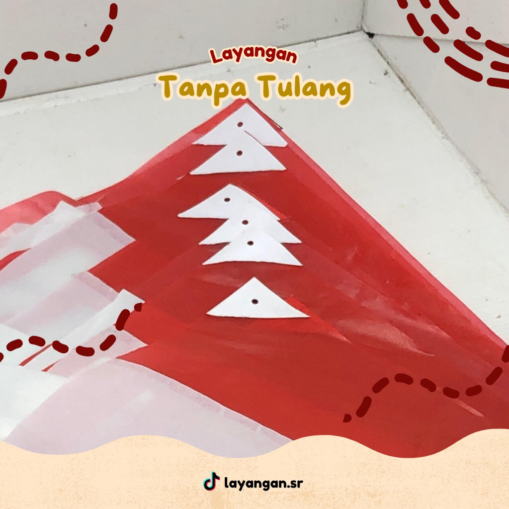 Layangan Tanpa Tulang/Layangan Sled Tanpa Rangka