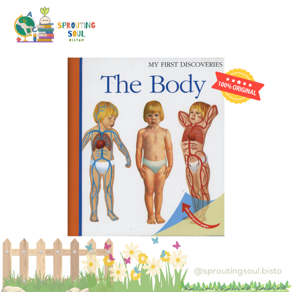My First Discoveries How The Body Works - Spiral Bound - Moonlight Publishing